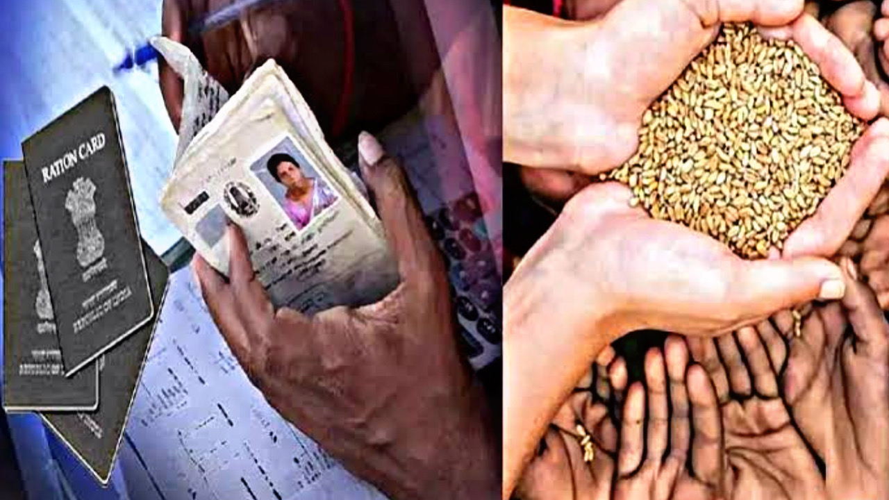 22FDE797 B59C 4A74 B5F4 54AC20FF1230