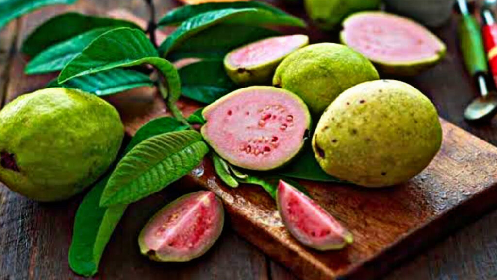 4A70D6C0 2EE9 4953 A5C0 D90867CB87AB 4A70D6C0 2EE9 4953 A5C0 D90867CB87AB