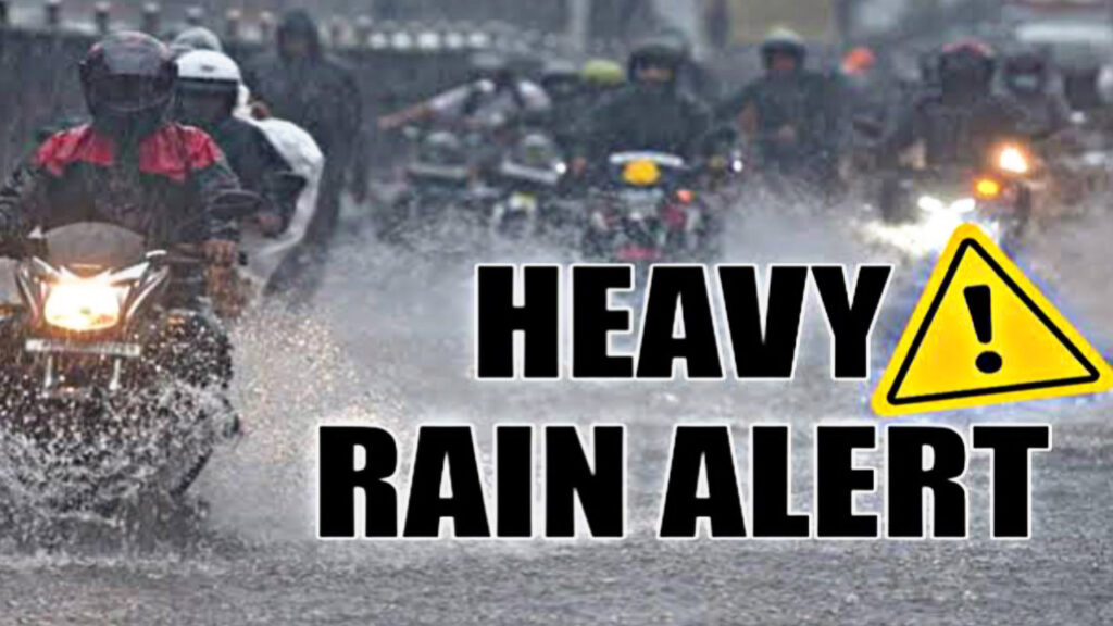 52D56902 3E5B 41BF 9522 2DD3B37A42AC 52D56902 3E5B 41BF 9522 2DD3B37A42AC