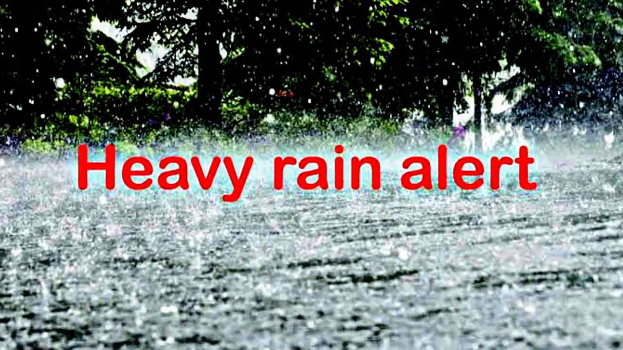 61FF8E00 2219 492C 939D 167A5C835964