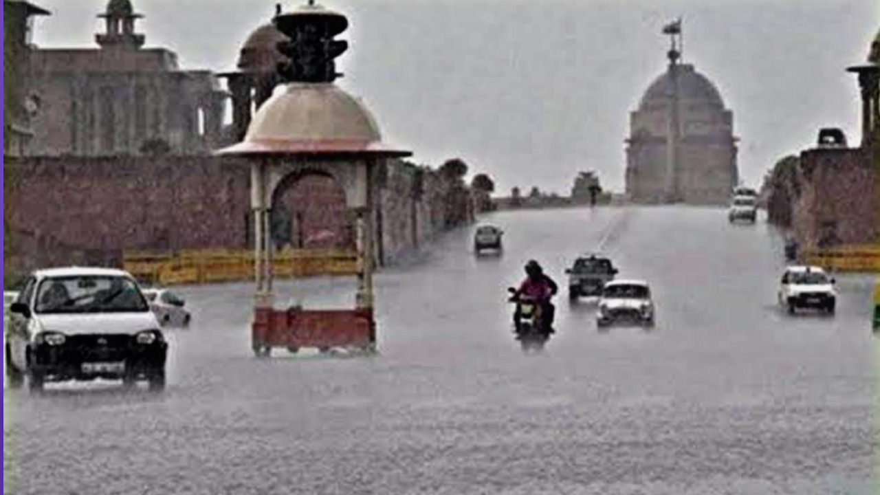 67CC3B25 47F0 4BC5 97D9 882ED099924D