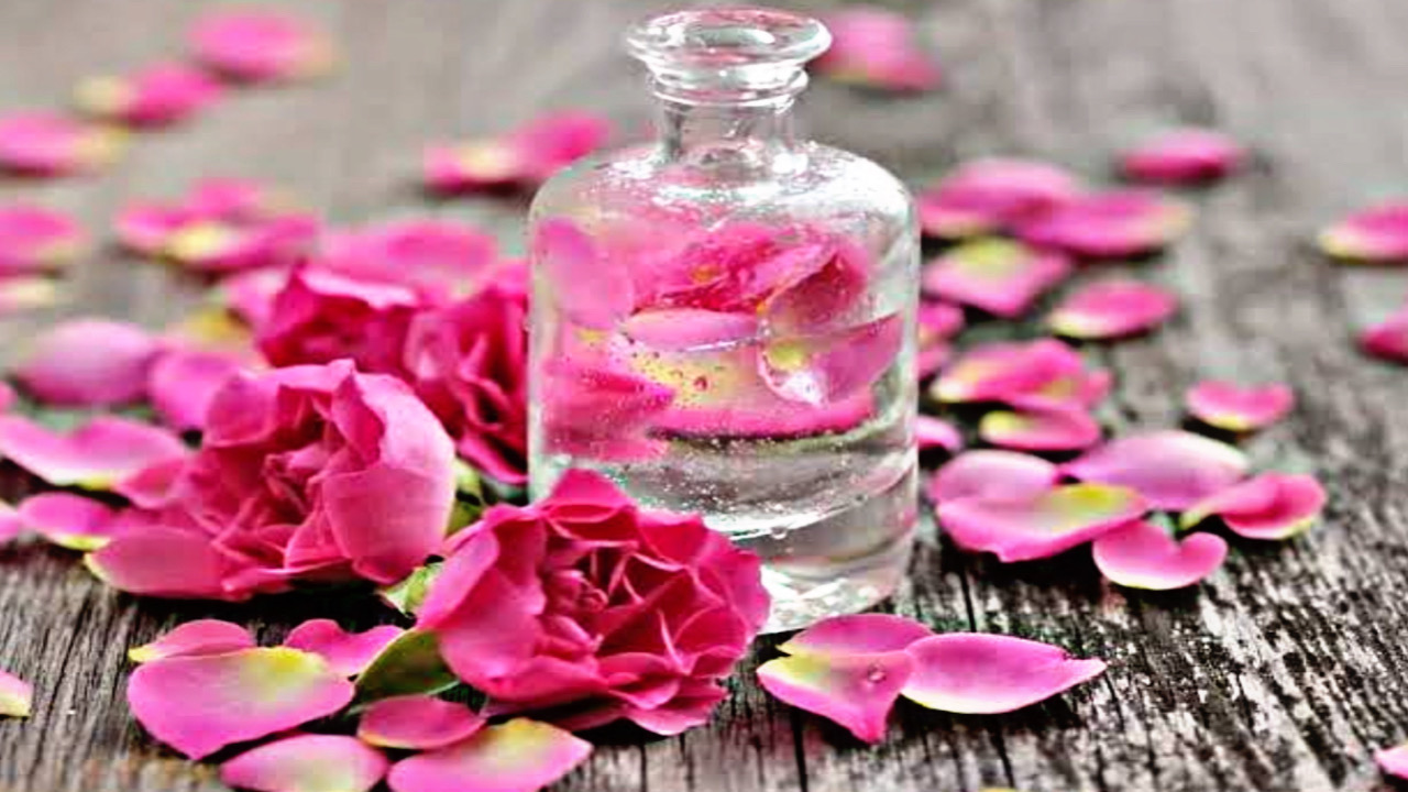 6FD26C23 EF99 44AC B1B5 B7AF78BC707B