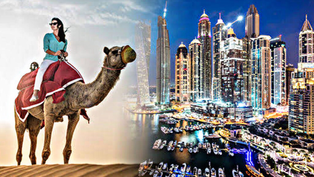 8E71FD0A D2AA 476C B7E7 151173A8940B