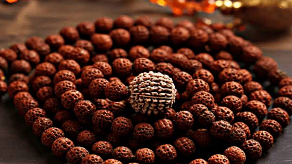 90B58CBC ECC9 45FB ABB5 E14EDA642E28 1