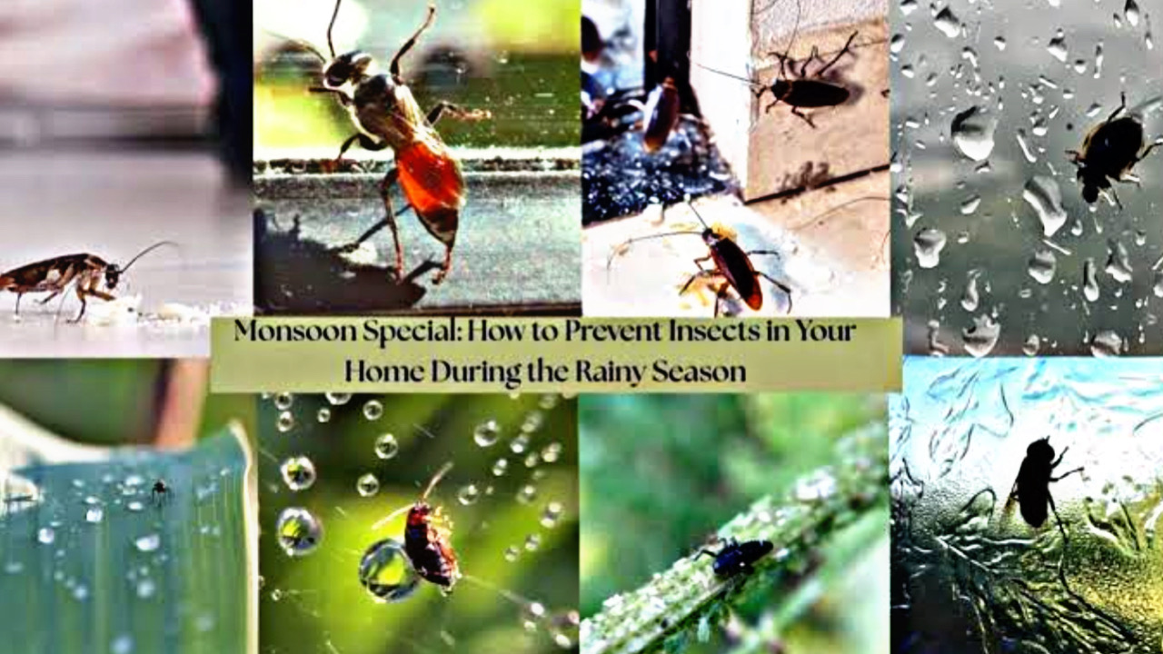 96E5661F 675C 4170 9D0B A662DB8A79EB