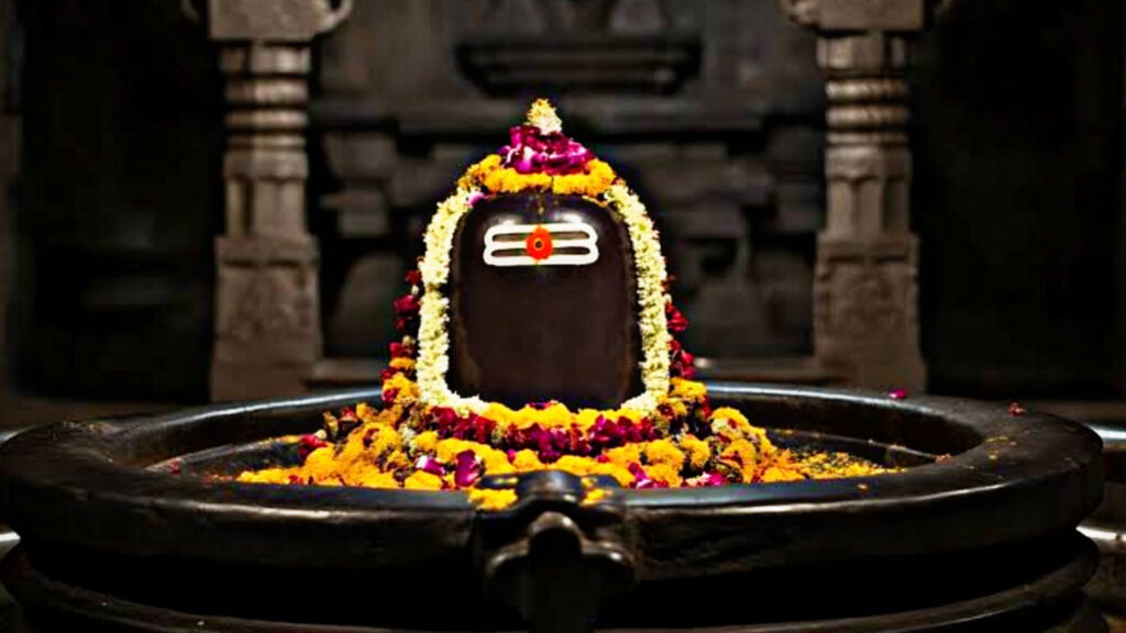 9A3E0314 068C 4957 A424 7440C12E627D