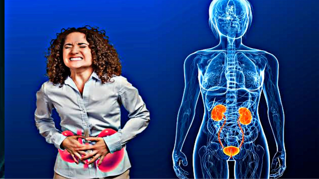 A597B8EA 7704 4DC5 AC27 AAD434696DAC