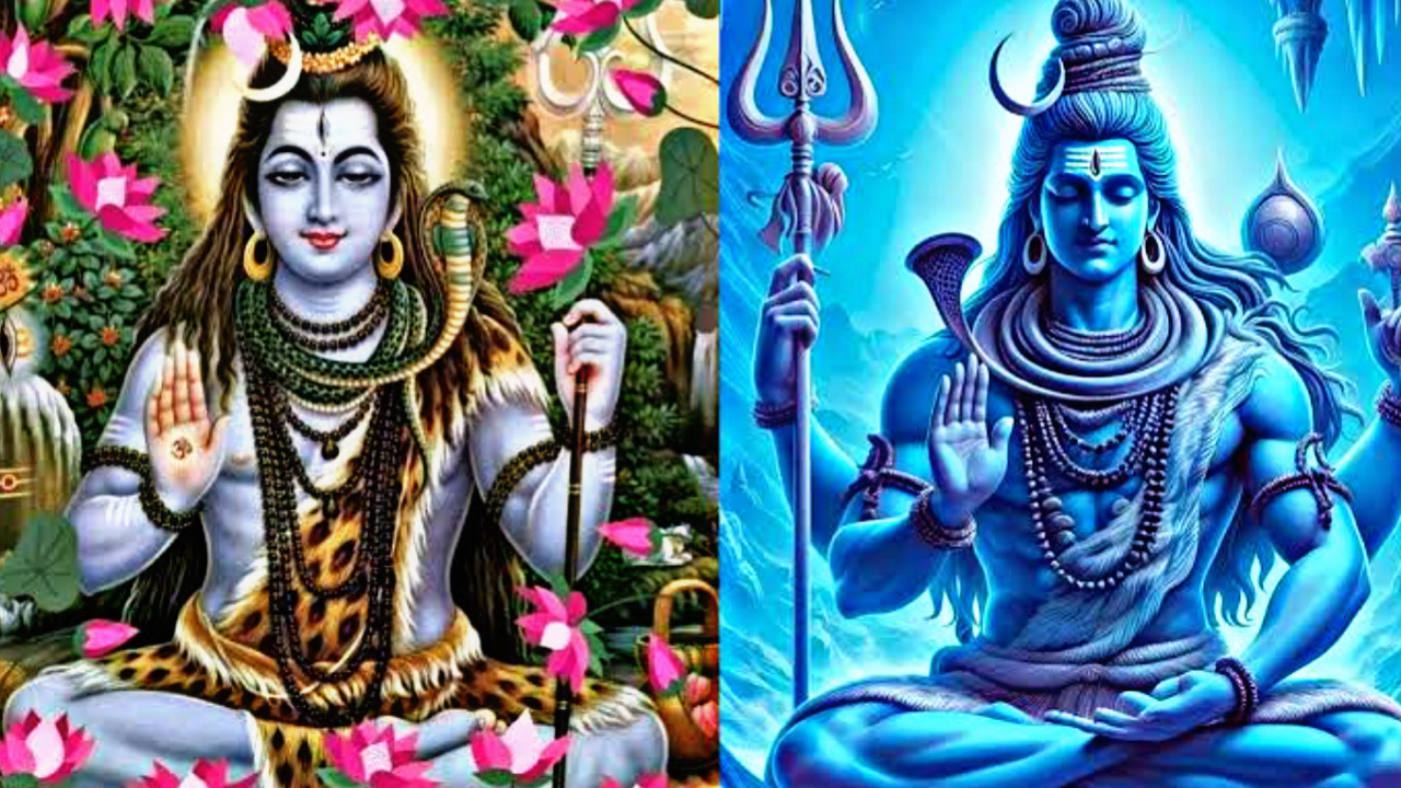 AF979738 8DA8 431C 9095 AACF018E25B7