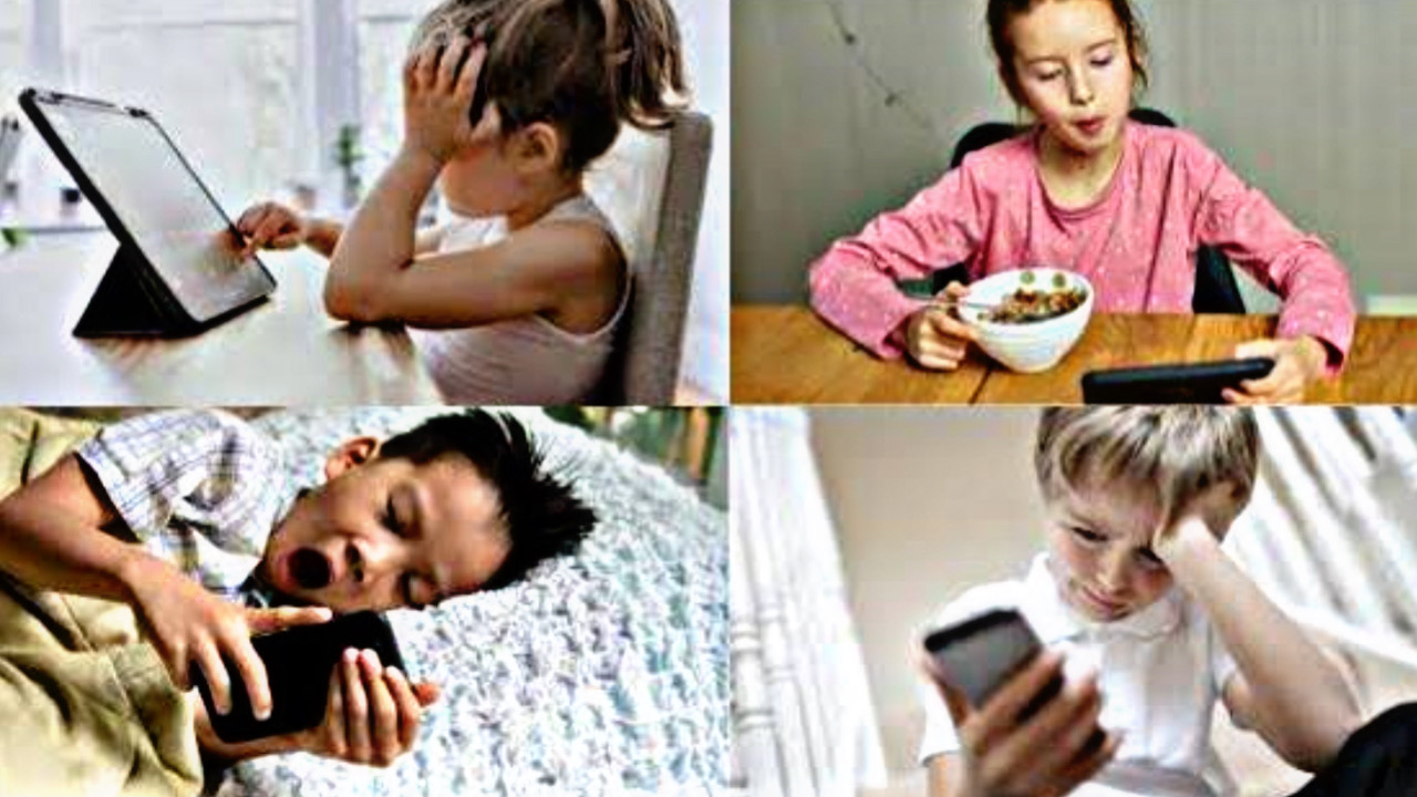 BBBC02BF 2D62 44B7 B6CA 428A68F5825B