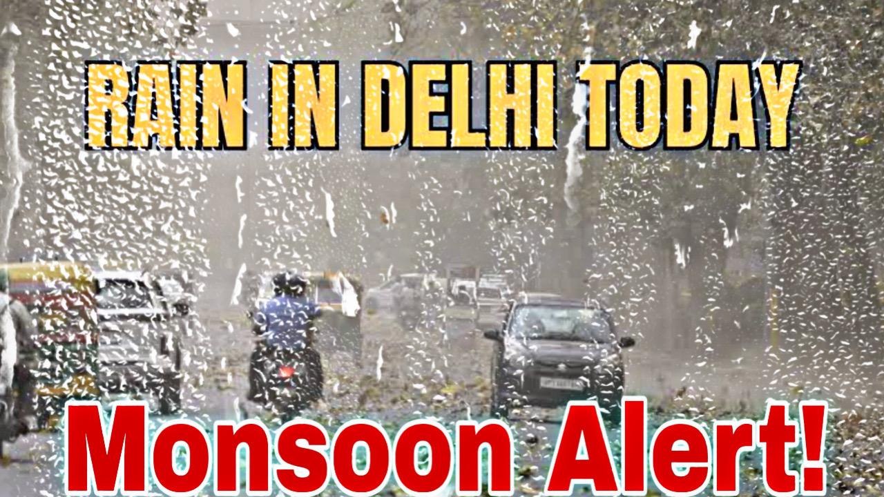 D8FED599 9446 4230 92F2 E08E902DDF13