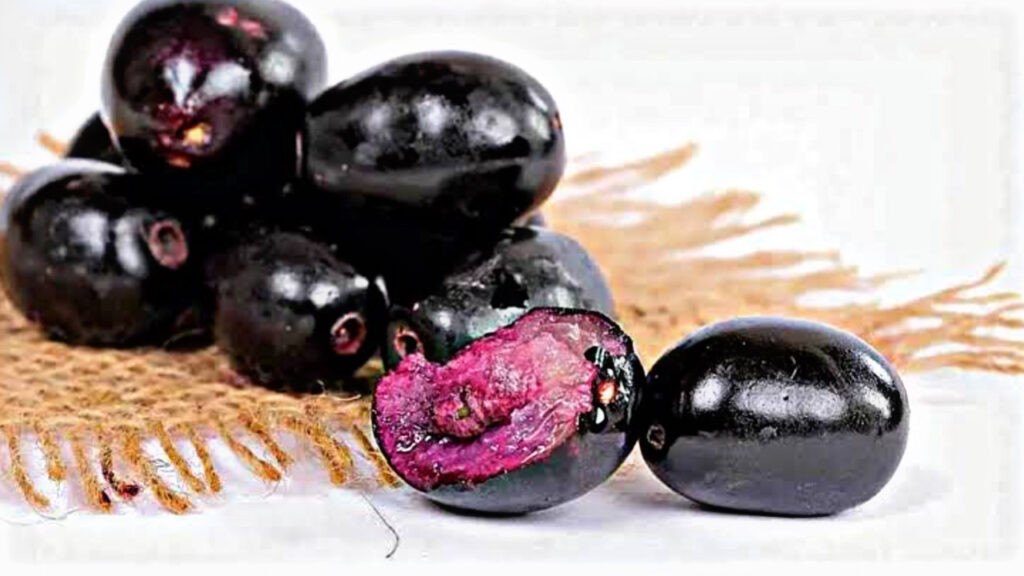 EA6F8215 724E 4C0D AB08 018E675C2D7B