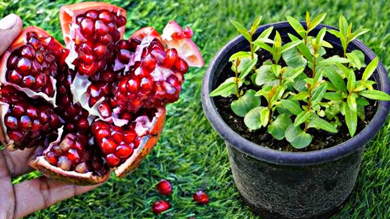 F405274B 6022 4529 999C BBB23F8A05B2