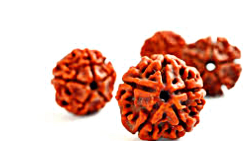 FDE31082 8587 4768 8A25 20FE1C72C72A