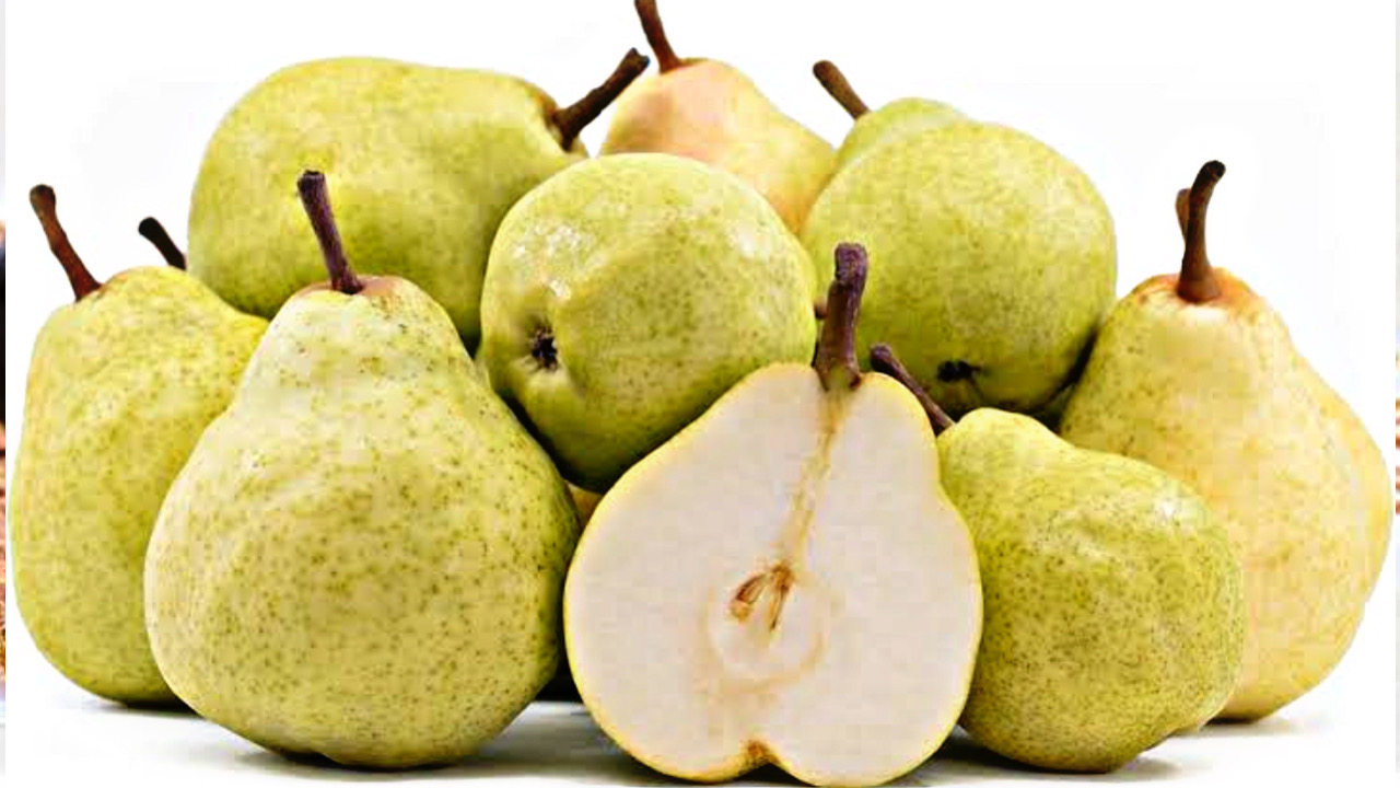 FFB40955 AA06 4F35 888E D360C7D2CBBF