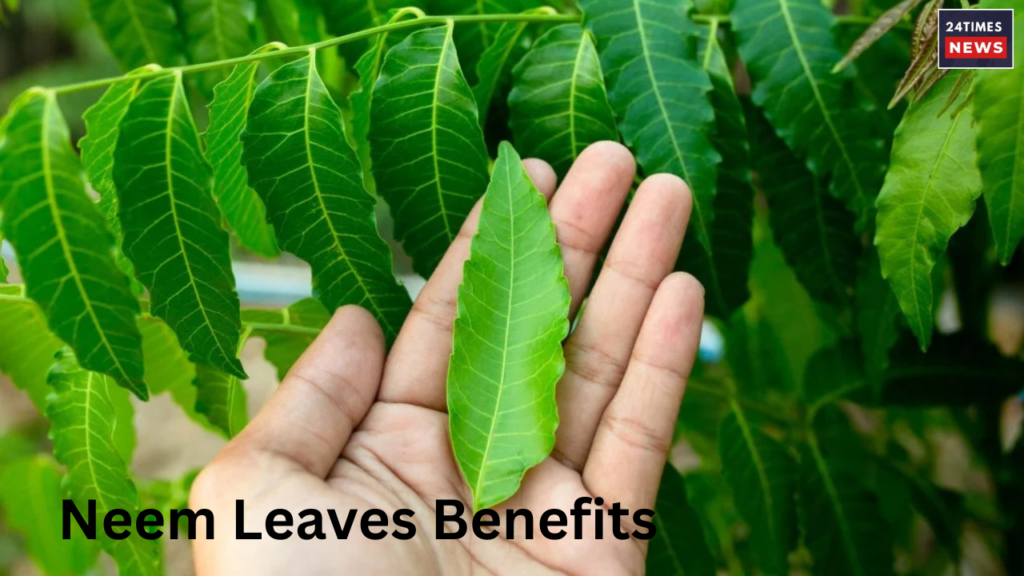 Neem Leaves Benefits Neem Leaves Benefits