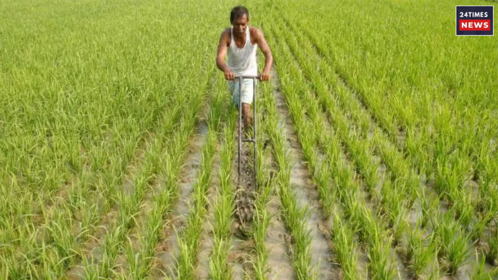 PM Fasal Bima Yojana 1 PM Fasal Bima Yojana 1