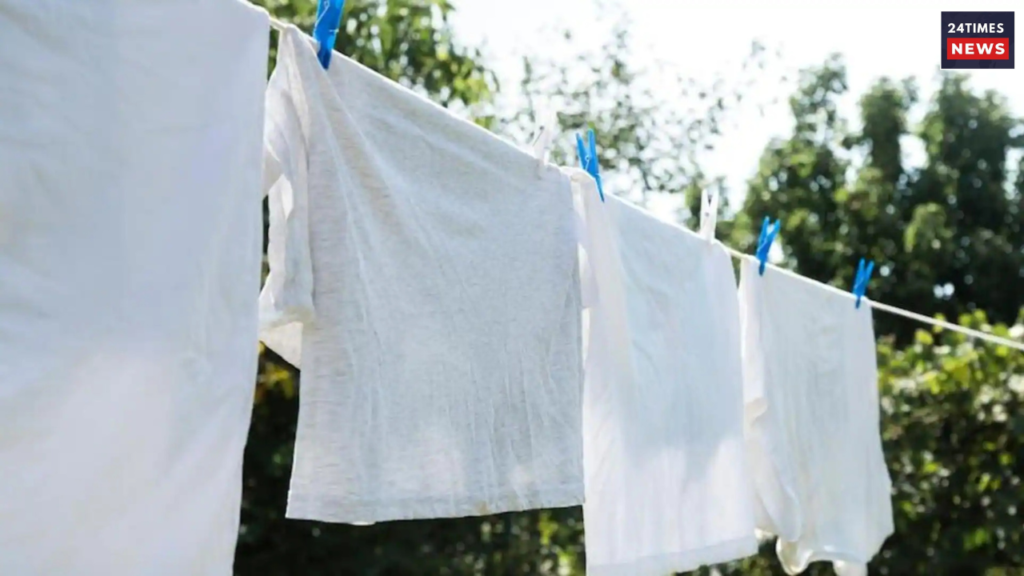 Untitled design 2025 07 11T173759.408