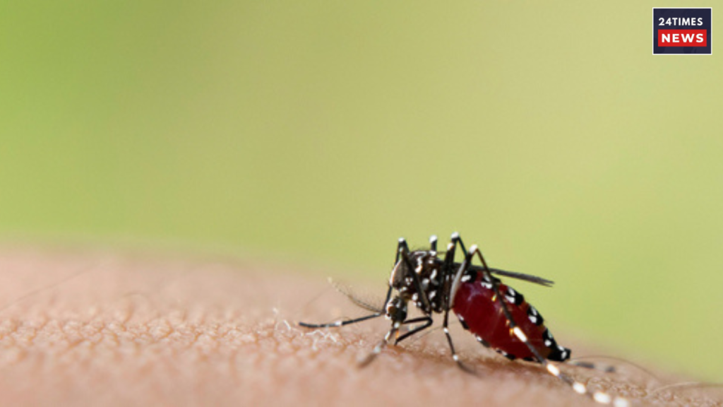 dengu precaution by delhi gov 1 dengu precaution by delhi gov 1