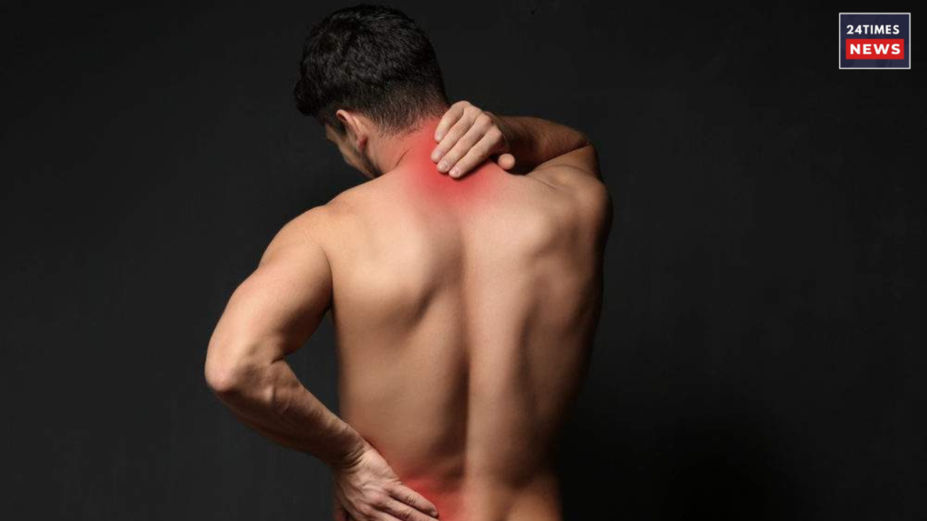 nerve system 1 nerve system 1