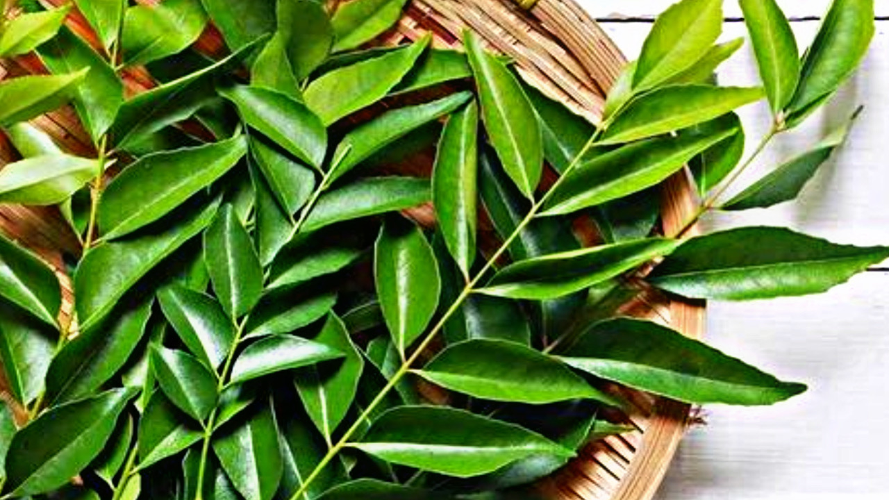 00DDB54B B251 49D9 A793 124C08704A94