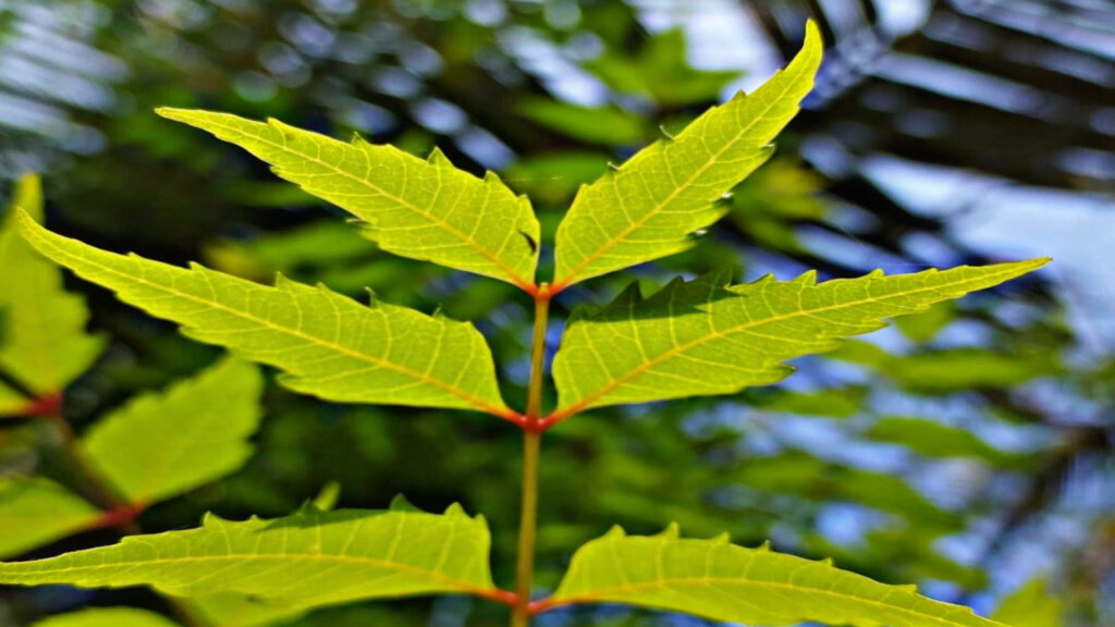 06D358F6 3F3B 4B23 9829 1AFAC6E68D27 06D358F6 3F3B 4B23 9829 1AFAC6E68D27