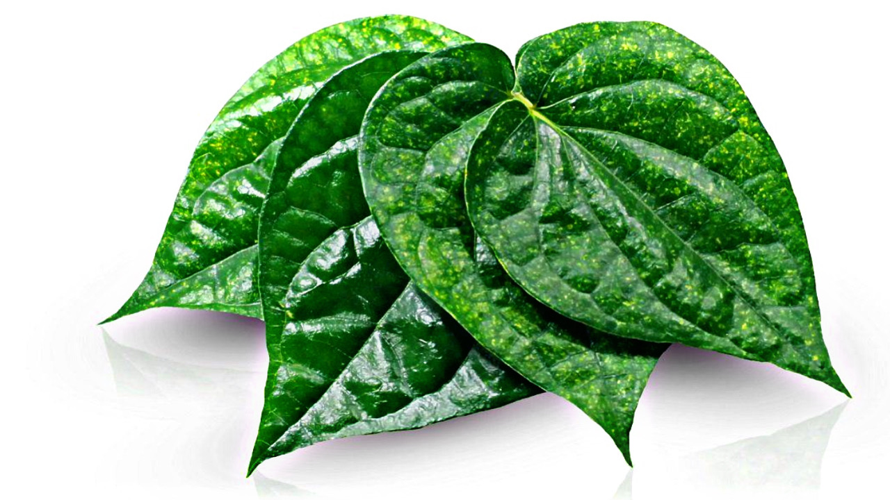 105F1068 292F 44A0 B9E9 A1E349C29FE9