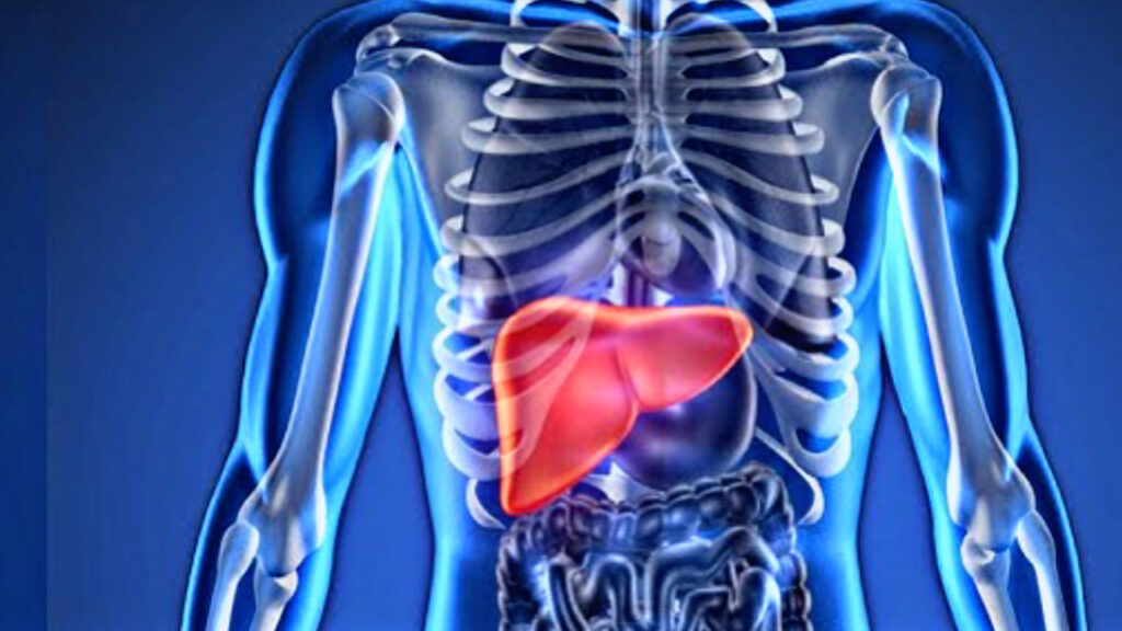 4026E5E0 3A37 478A 8913 D55C4F3AFC54 4026E5E0 3A37 478A 8913 D55C4F3AFC54