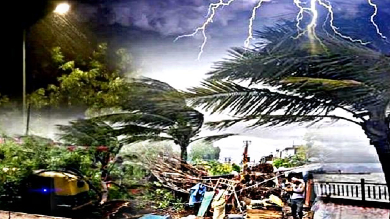 4463957B 4BDB 48E6 898F F6654FB6C477