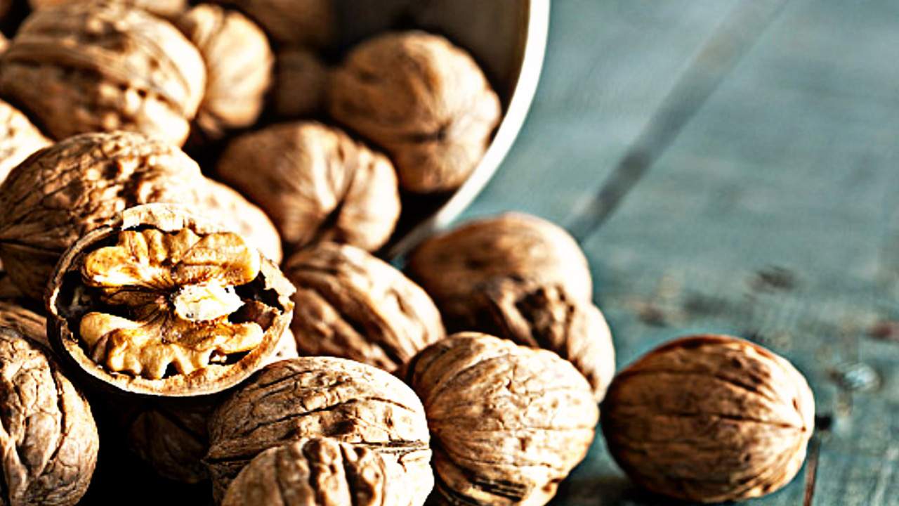 4BEA36EC 9138 44D7 90BB 70C103101AA3