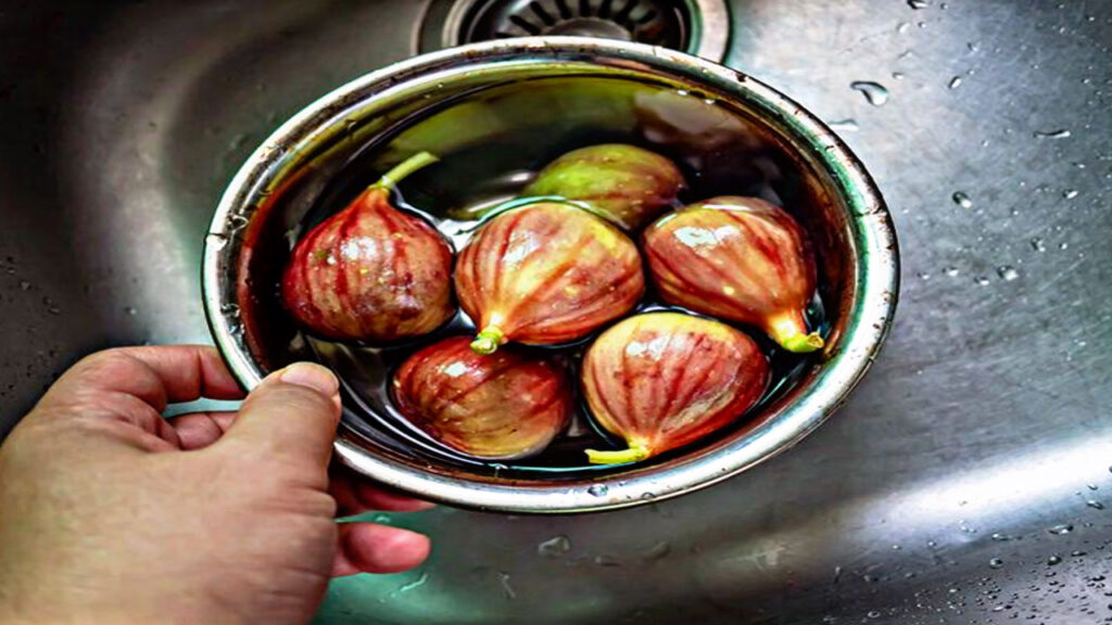 4CEDEB6C 1D34 4EA7 B54E 327C0D33C1AB