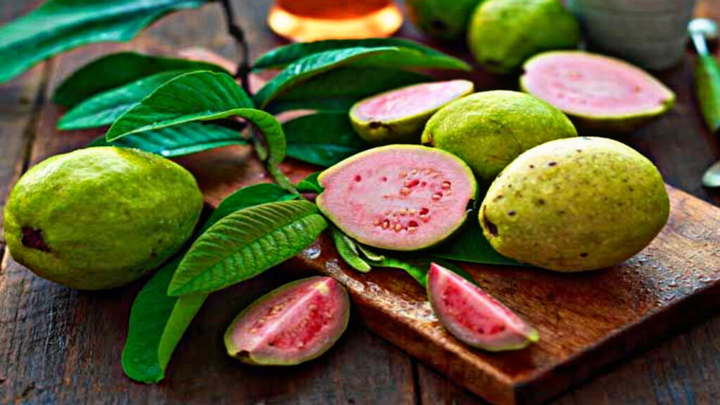 4E1C48DE 0171 4AA3 9B68 800DF5EE6509 4E1C48DE 0171 4AA3 9B68 800DF5EE6509