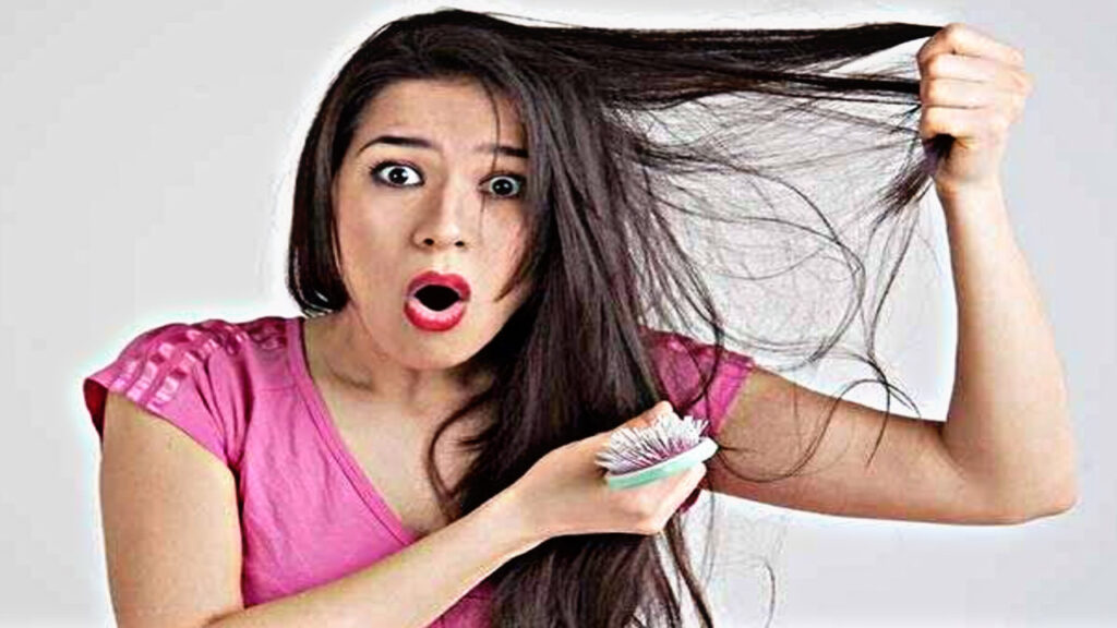 5EBD74BC 40F3 49B6 A958 AA88C1626A3C 5EBD74BC 40F3 49B6 A958 AA88C1626A3C