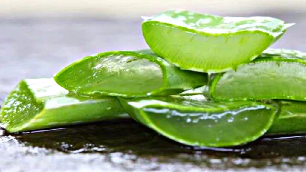 6296177B BFA0 4928 A979 7764BDB82BE1 6296177B BFA0 4928 A979 7764BDB82BE1