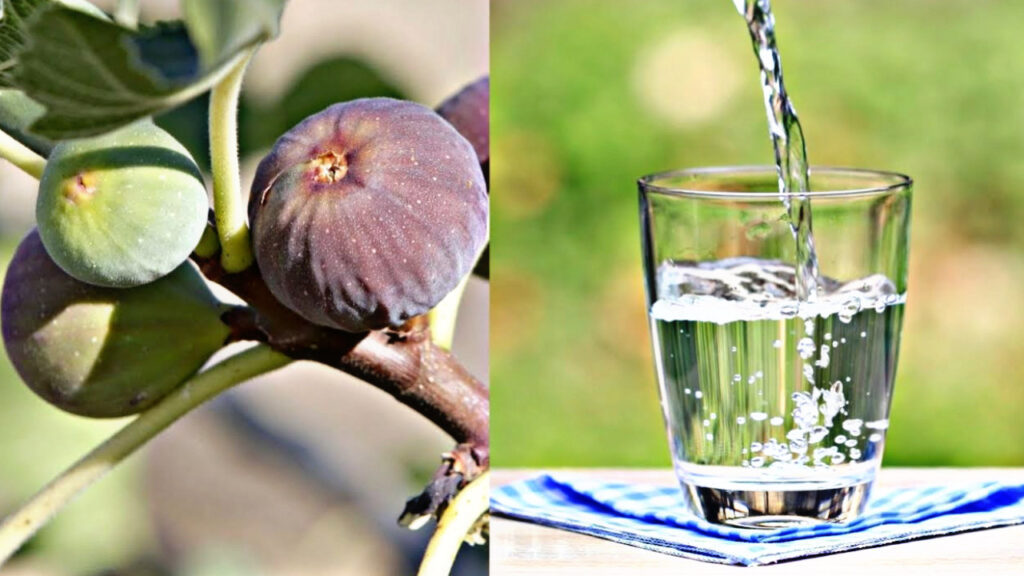 633B3356 BD62 4645 8278 B065426227FD