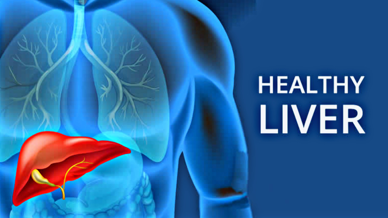 65790045 1E28 422E 8B87 8B6D0A419845