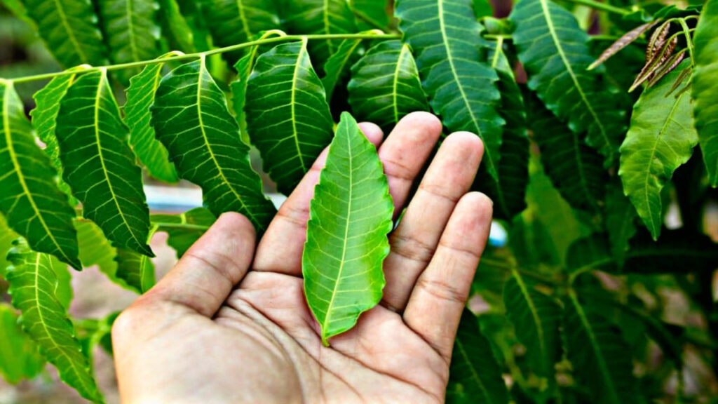 69CBEEC4 B475 456E 8B1E 8CB7D3031848 69CBEEC4 B475 456E 8B1E 8CB7D3031848