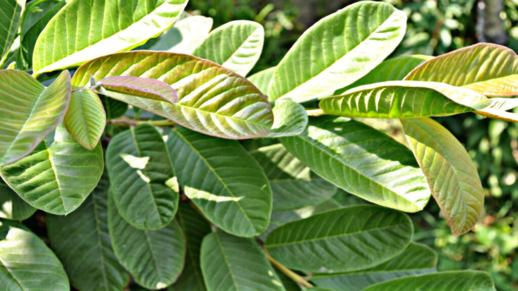 6D2B5193 7DE2 4A6A 9B34 2A76B7D4BDD3 6D2B5193 7DE2 4A6A 9B34 2A76B7D4BDD3