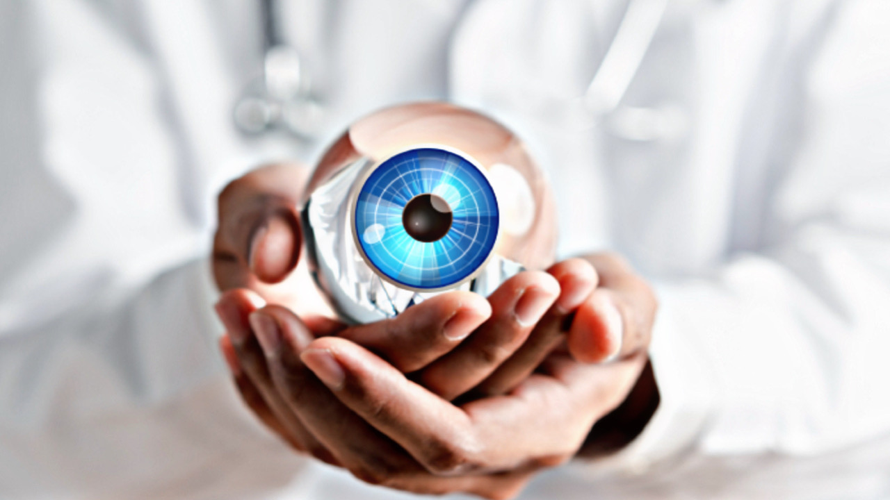 6DD56025 43F6 4375 8BB2 6101DFB498A0