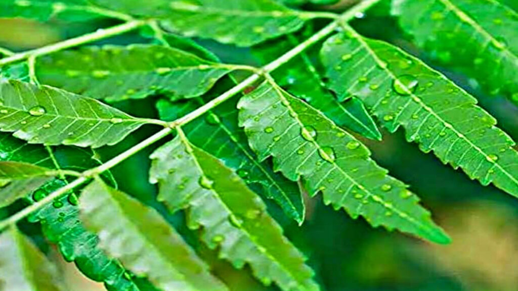 7088E712 4B60 4A0A 8796 47A9B541D2D5 7088E712 4B60 4A0A 8796 47A9B541D2D5