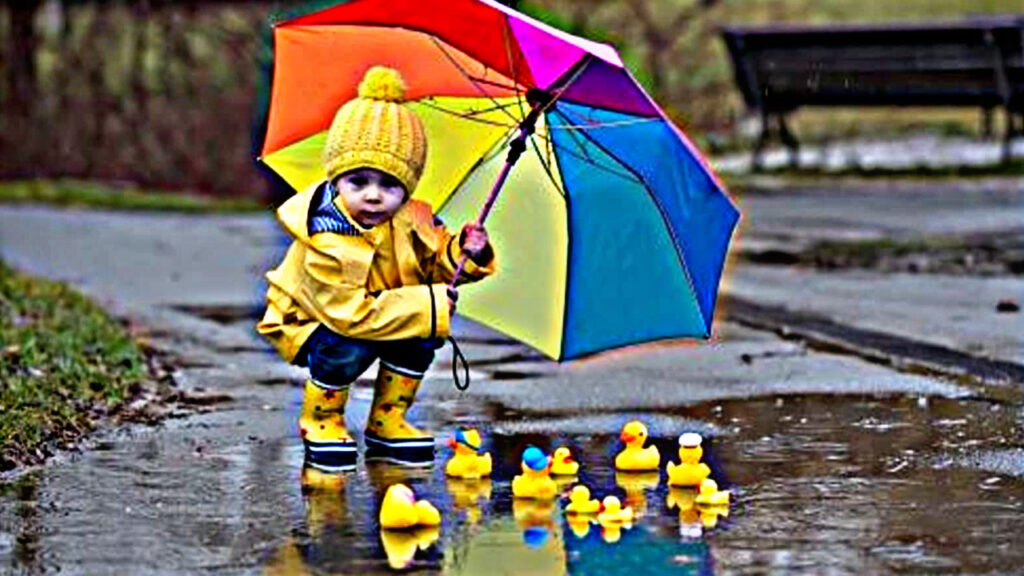 90C9D7ED 5047 458F 9510 ECB1E39E4A34 90C9D7ED 5047 458F 9510 ECB1E39E4A34