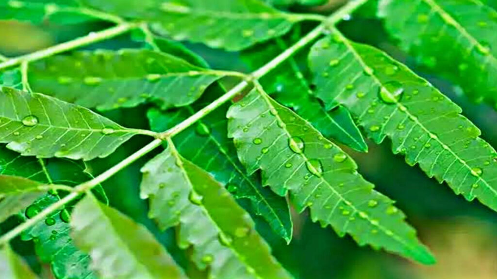 9AD2EFCC 540A 4428 BE04 23ACD78F9C44 9AD2EFCC 540A 4428 BE04 23ACD78F9C44