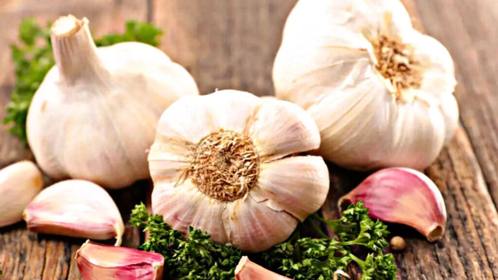 AE321BCB 5D81 4985 A57D 5BBD68543A40 AE321BCB 5D81 4985 A57D 5BBD68543A40