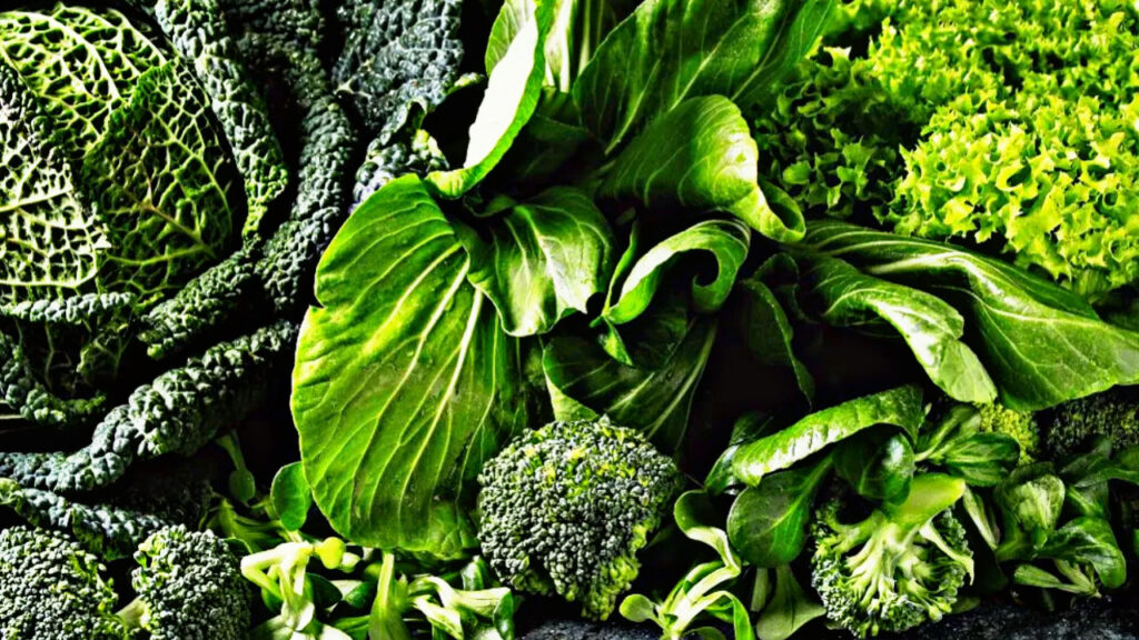 AED0C382 37AF 4DF3 BC77 BE4D7C1A669B AED0C382 37AF 4DF3 BC77 BE4D7C1A669B