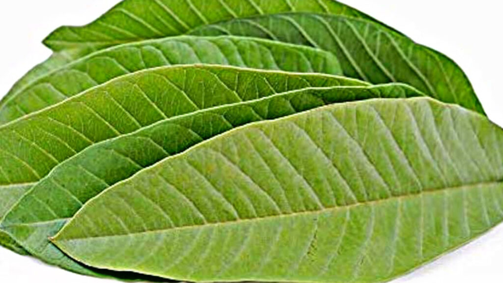 B469F364 596B 46E5 A617 C9ACB69D1615 B469F364 596B 46E5 A617 C9ACB69D1615