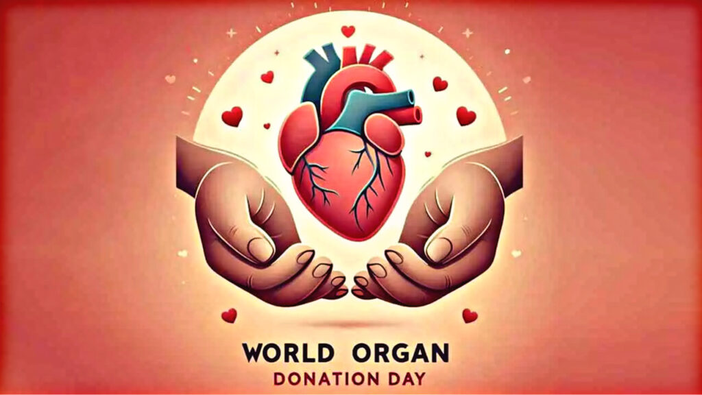 B9B3861B 6CB7 4E2C A01C 2E297D8422B3 B9B3861B 6CB7 4E2C A01C 2E297D8422B3