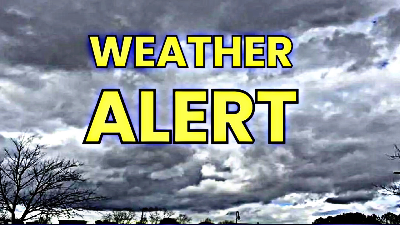 BC8959DF AA87 4744 A1DC 65F44502944A