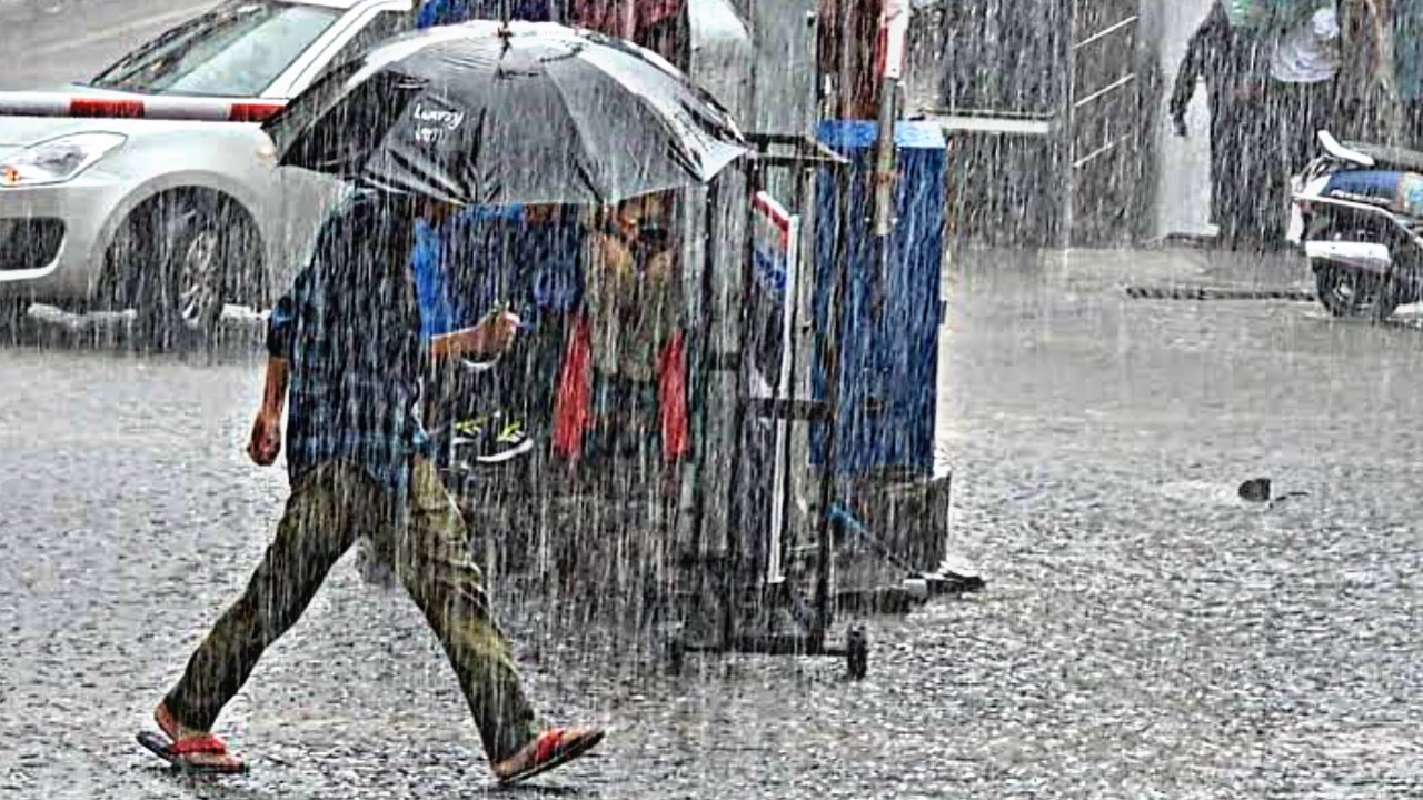 BD54D1F7 4C33 4580 A95E 8518B2A113DF