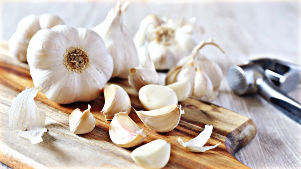 C281323C CEDF 4650 96F9 299419EB840F C281323C CEDF 4650 96F9 299419EB840F