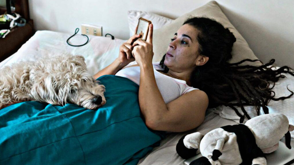 C5591064 60B5 4F78 B3E2 89186376E355