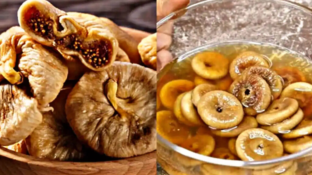 CCCB5B6D D39C 4E6A BE53 257941639CE1